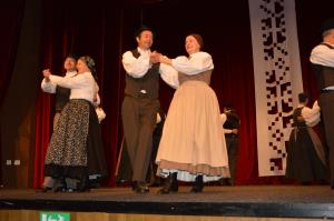 Območno srečanje odraslih folklornih skupin 2